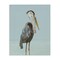 Stupell Industries Coastal Pelican Muted Blue Canvas, design by Julie DeRice